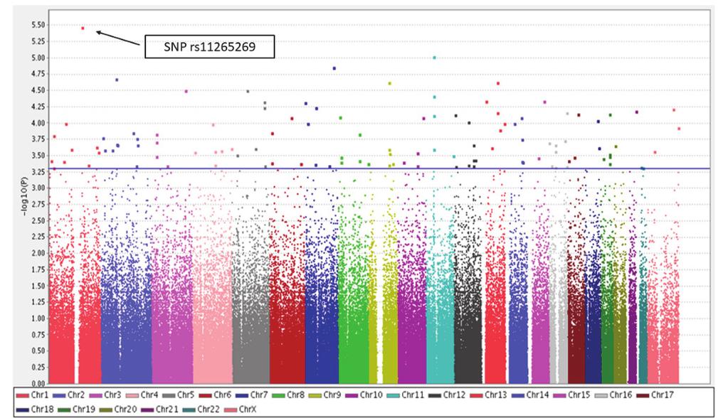 First, in study III, a hypothesis-generating GWAS was performed. Thereafter, the most promising SNPs were genotyped in subsequent replication populations (Figure 4).