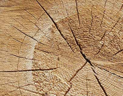 Puu on uusiutuva materiaali, joka voidaan kierrättää sekä hyödyntää elinkaarensa lopussa bioenergiana.