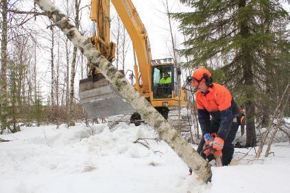 KOSTEIKKOJEN PERUSTAMINEN JA SUUNNITTELU