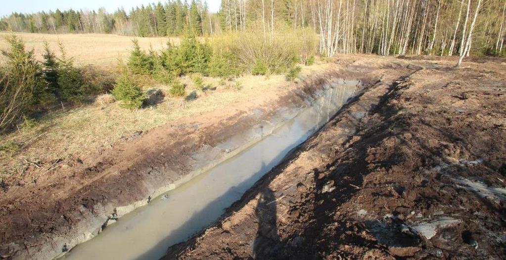 Laskeutussyvänne kosteikon alussa hidastaa virtausta, pysäyttää kiintoainesta ja siihen sitoutuneita ravinteita.