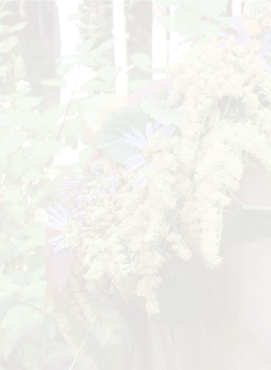 Jäteasemilla otetaan vastaan sekä kotitalouksien että yritysten jätteitä. KIERRÄTYSPISTEET Jäteasemien lisäksi LHJ ylläpitää 182 kierrätyspistettä.