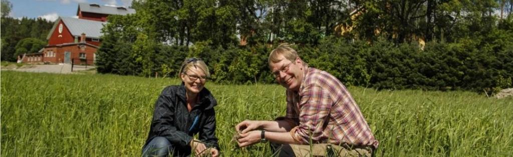 Knehtilän tila Luomukasvinviljelytila (360 ha) Puoti,