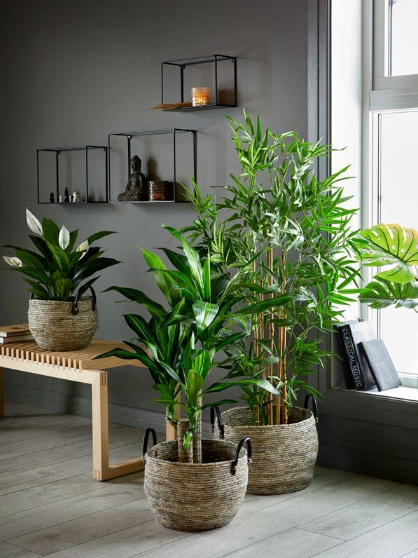 TUOKSUTRAAKKIPUU K90 cm 23590 88,90 FLORA BAMBU K130 cm 23620 133,50 HANOI