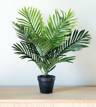 FLORA MEHIKASVI K13 Ø12 cm,