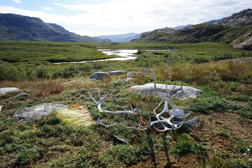 Aasivissuit-Nipisat Sermersuup immallu akornanni Inuit Piniarfii arlaqartunik, ilerrini, aasaaneranilu pilisanik toqqorsivinnik takutitsisuuvoq.