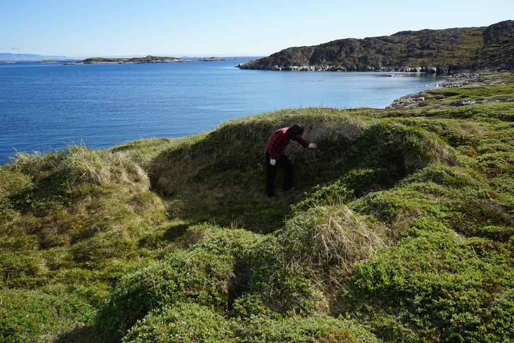 ataasiinnaanera (Kalaallit Nunaani Namminersorlutik Oqartussat) aammalu nunatami suliffissuaqarnikkut ineriartortitsinissamik itigartitsisoqartarneri tunngavigalugit, akunnilersuisoqarani nunatamik