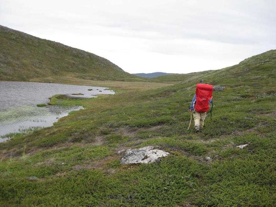 3.5 Illersuinissamut ingerlatsinissamullu piumasaqaatit Nunataq piukkunnartoq Naalakkersuisunit (Kalaallit Nunaanni Namminersorlutik oqartussanit) pigineqarpoq, Qeqqata Kommunianiillu