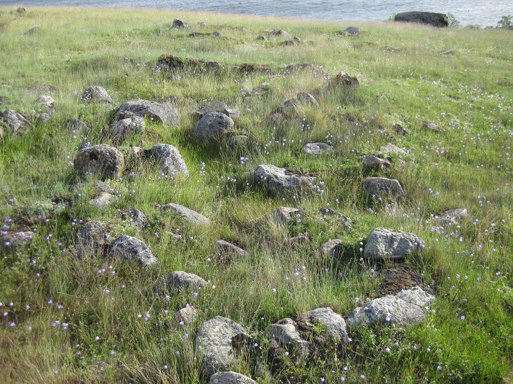 6 Inuiaqatigiinni inatsit il.il. Immikkoortumi uani inuiaqatigiinni inatsisit, nunatani piukkunneqartuni sammisaqartitsiviginiakkatut qinnutigineqartunut attuumassuteqartut nassuiaassutigineqarput.