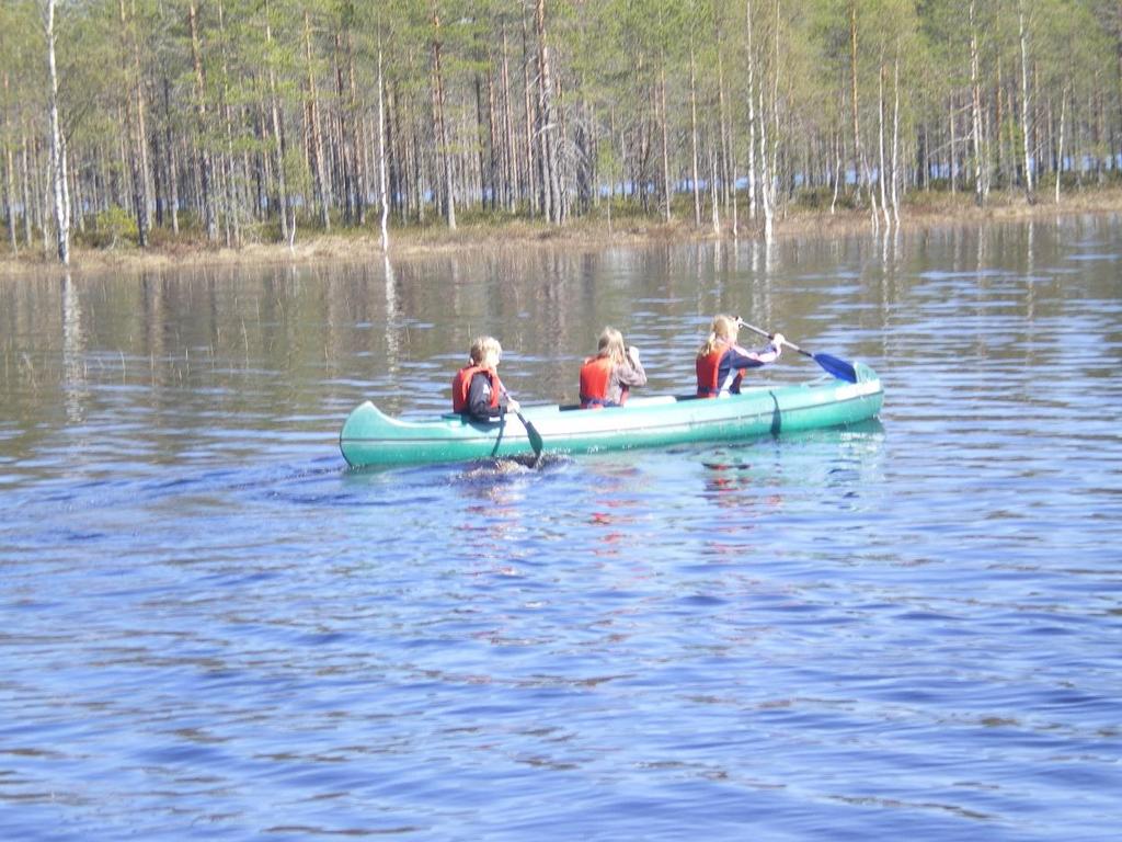 Green Care on sateenvarjokäsite Sisältyy erilaisia toimintatapoja ja menetelmiä; ESIM.