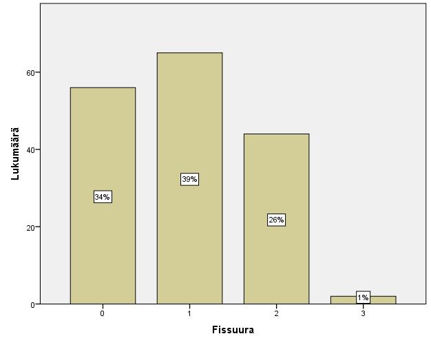 Kuva 4. Fissuuroiden esiintyminen aineistossa.
