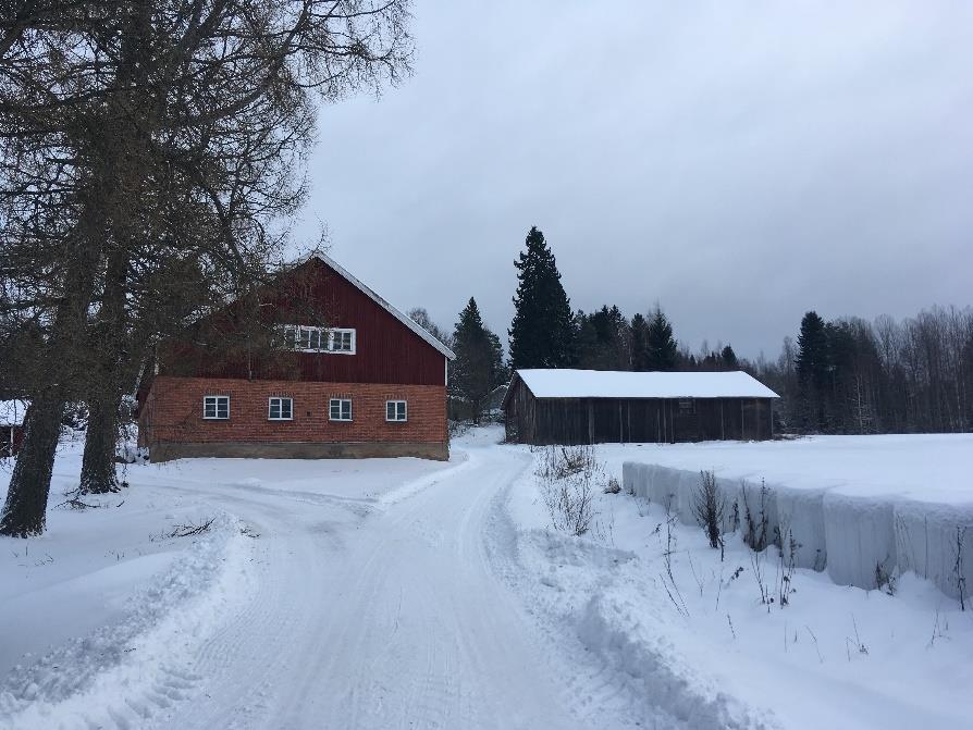 Suunnittelualueen pihapiirissä