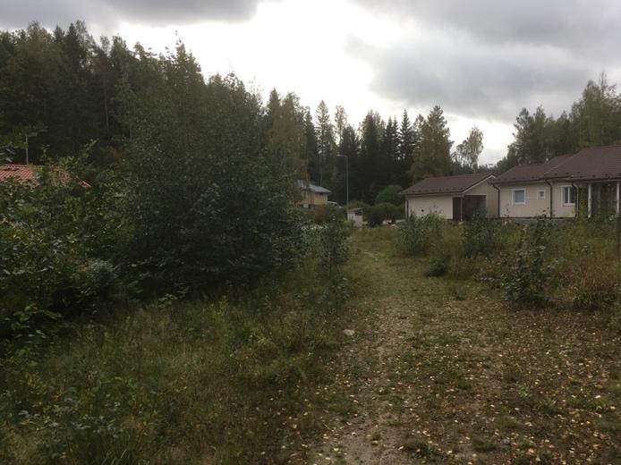 Manninpellontien varressa oleva tyhjä tontti. Kuva 6.