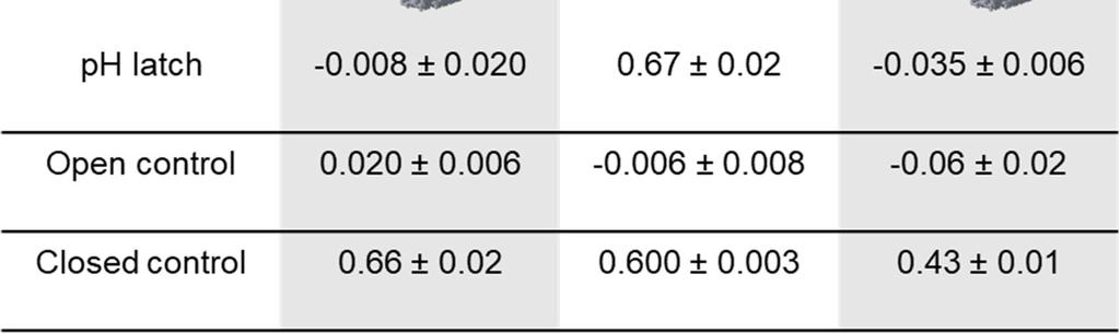 Bottom panel shows FRET efficiency value as the mean calculated from the full emission spectra of the three parallel samples measured within the kinetic