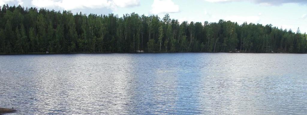 2 / 3 Itäsen Kolmoislammen veden väriluku oli suurehko (120 mg Pt/l) ilmentäen lammen runsashumuksisuutta luonnetta (mihin eniten vaikuttaa suoperäiseltä valuma-alueelta tuleva humus).