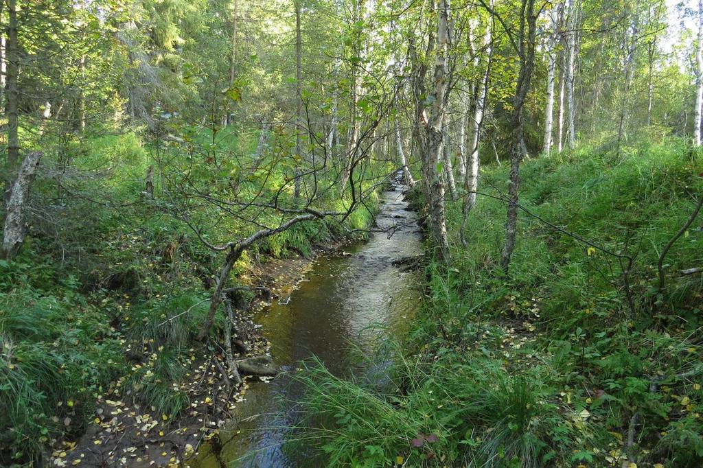 Kemijärven Nuolivaaran tuulivoimapuiston sekä voimajohtolinjan