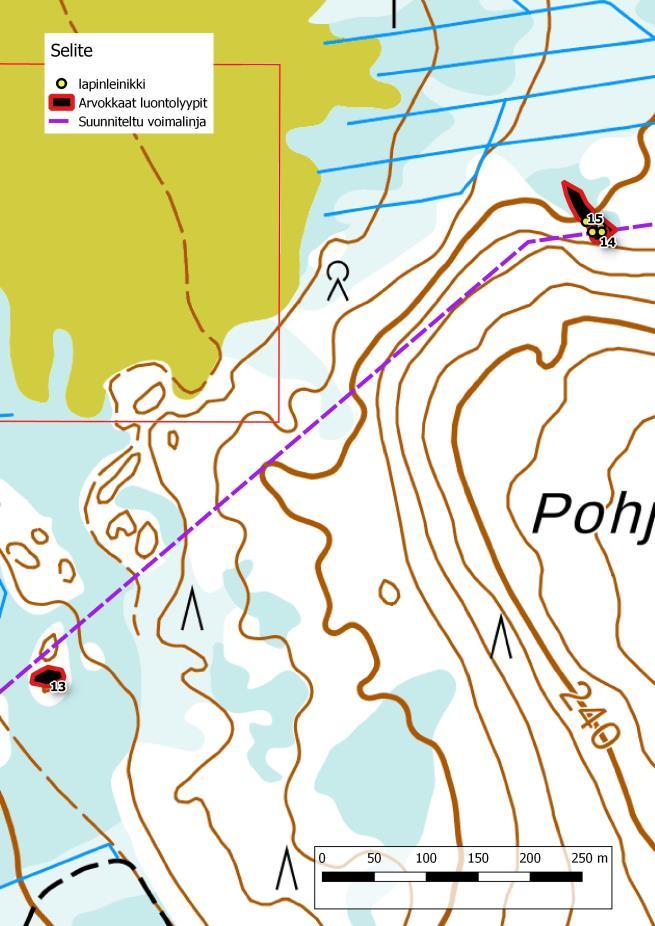 Pienen Ahmalammen ympäristön lettonevat ovat uhanalaisuusluokituksessa arvioitu vaarantuneeksi luontotyypiksi.