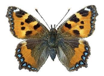 15 15.