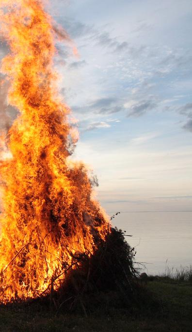 6 VARHAISNUORISOTYÖN KESÄLEIRIT KAUNISNIEMESSÄ Tule leirille viettämään aikaa ulkoillen, saunoen, uiden, leikkien, laulaen. Leirillä sinua viihdyttävät Sami ja isoset.