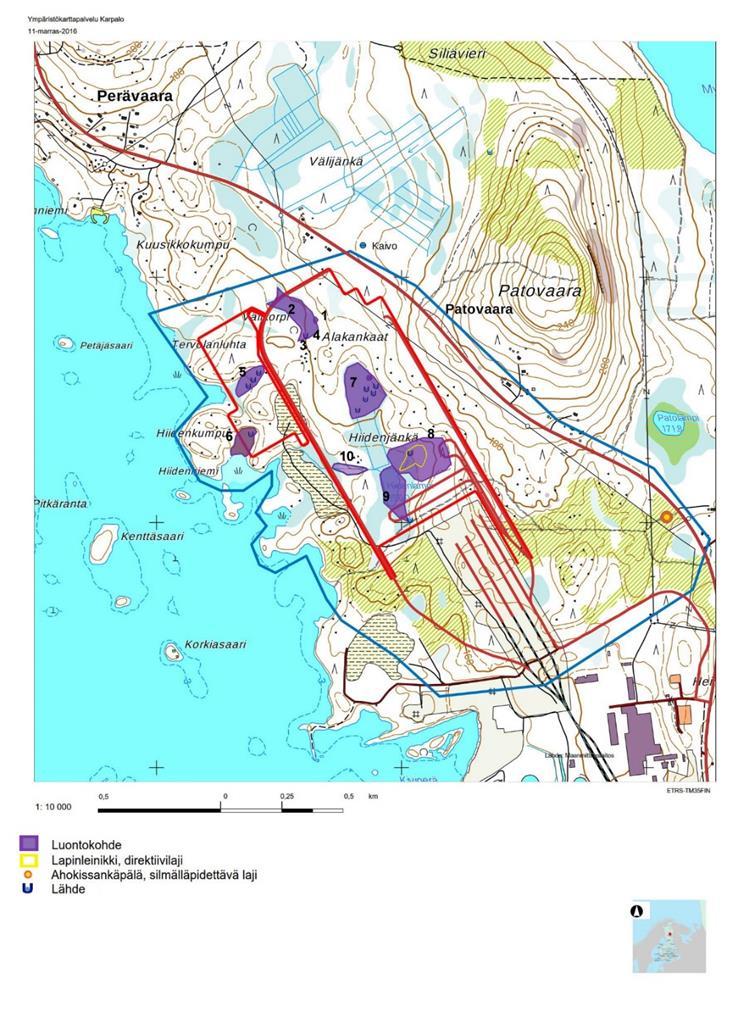 134 länsipuolella olevissa niemekkeissä on uudistuskypsää männikköä ja kuusta. Metsien ikä ranta-alueella vaihtelee nuoresta kasvatusmetsästä uudistuskypsään metsään.