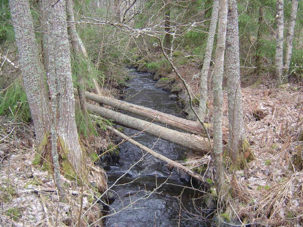 16 Kuva 12. on otettu kohteen 2 metsäosuudelta.