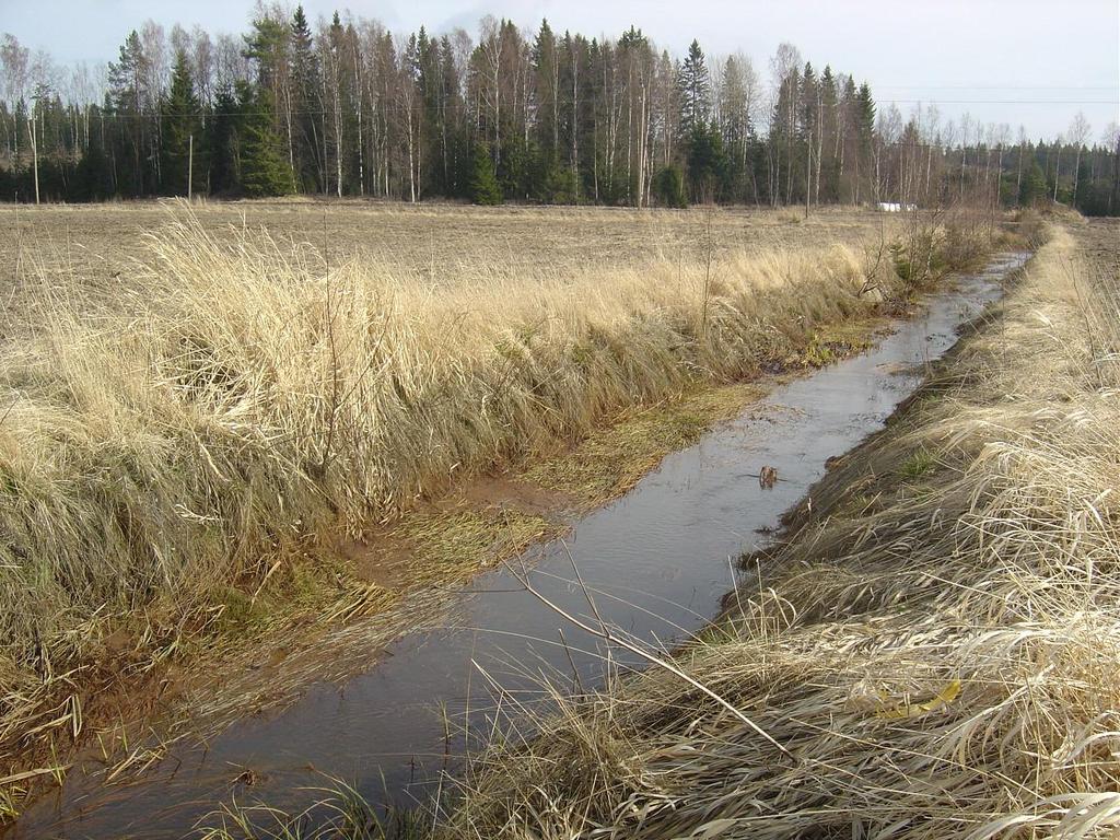 7 tuoretta liettymää virtaussuunta Kuva 4. Maijalanojan alaosa Uksjoen risteyksestä ylävirtaan päin 28.04.