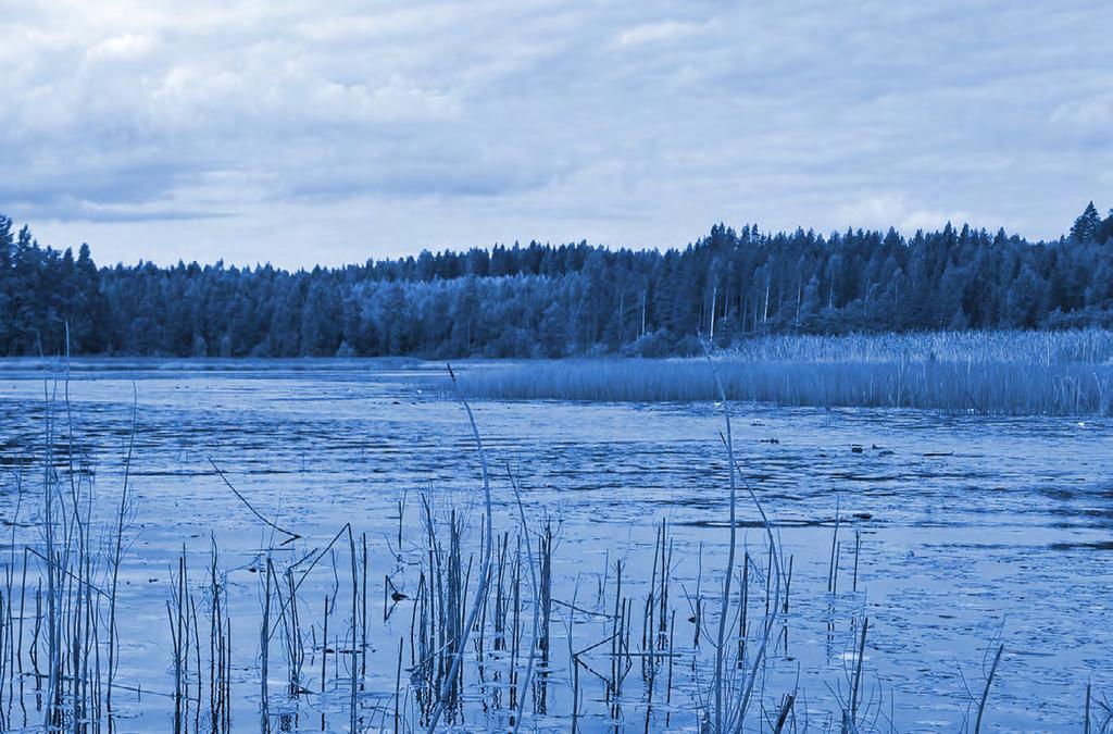 4 Maaympäristön seuranta 4.1.