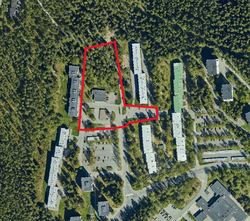 TAIVAANPANKONTIE 25 4 KUVA 2. ILMAKUVA SUUNNITTELUALUEESTA JA KAAVAMUUTOSALUEEN RAJAUS 3.1.2. Luonnonympäristö Kaavamuutosalue kuuluu Puijonlaakson metsälähiöön.