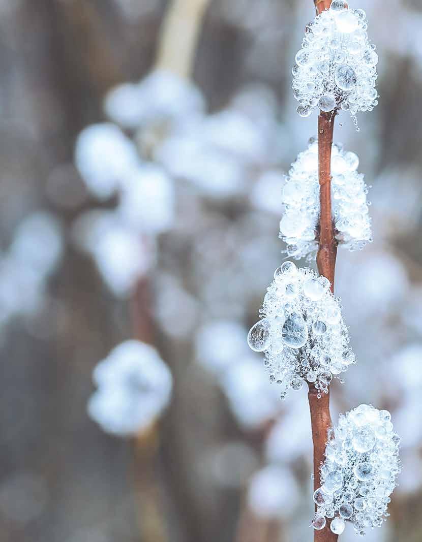 SVY ONNITTELEE YHDISTYKSEMME JÄSENTEN MERKKIPÄIVÄT Seuraavat yhdistyksemme jäsenet ovat viettäneet merkkipäiviään tämän vuoden aikana.