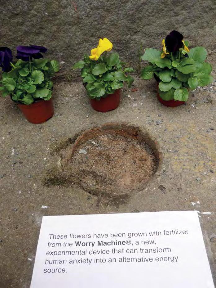Figure 6. Plants grown with biofuel fertilizer generated by the Worry Machine (2010).