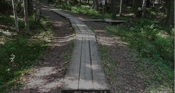 TAMMELAN SININEN REITTI 4 KM Tammelan sininen reitti alkaa Hämeen luontokeskuksen pihalta. Polun alku on melko leveä, mutta sen alussa on heti jyrkkä ylämäki, jota seuraa jyrkkä alamäki.