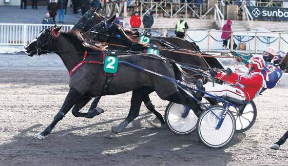 Ravit TURKU lauantaina 1.. klo 1.00 rata 0 Tallikommentit enintään 1.00 e. Palk. 00-00-00-00-0-0 e klo 1. punainen-valkea COASTAL BLUE CC 0:1 1,ake 1,ke 1.