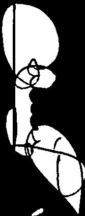 10.