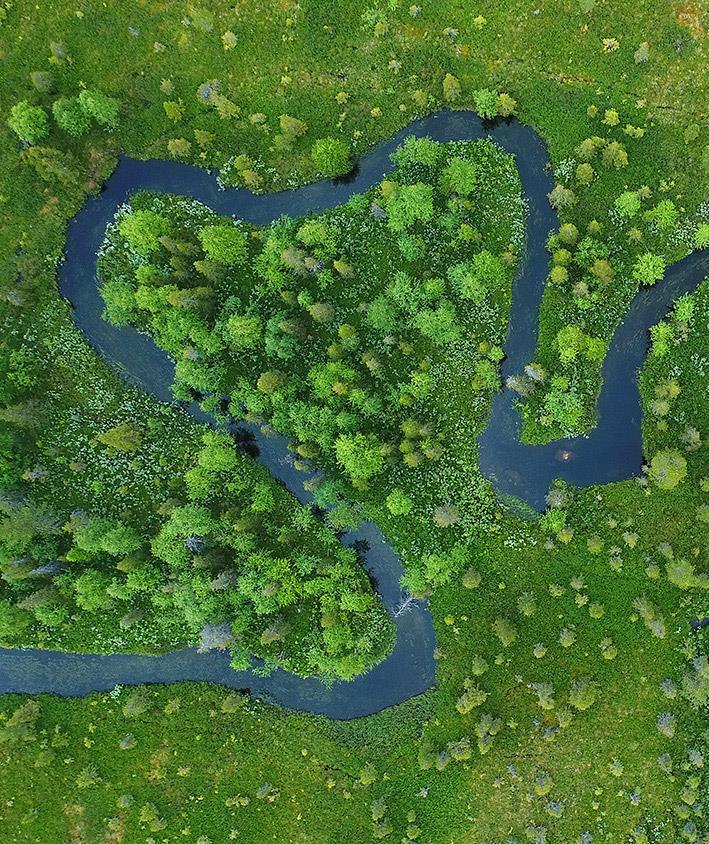 METSÄHALLITUS 160 VUOTTA METSÄHALLITUS - MONIALAINEN OSAAJA VASTUUTA IHMISISTÄ, YMPÄRISTÖSTÄ JA YHTEISKUNNASTA Käytämme, hoidamme ja suojelemme valtion maa- ja vesiomaisuutta kestävästi siten,