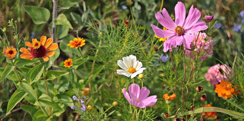 Tervehdys Yhdistyksemme jäsen! Muutamia täydennyksiä tapahtumiimme! Eli uusi kevätkirje! Seuralassa perjantaina 17.5.2019 Karaokerhon järjestämä kevätkriuhnaasu alken klo 13.