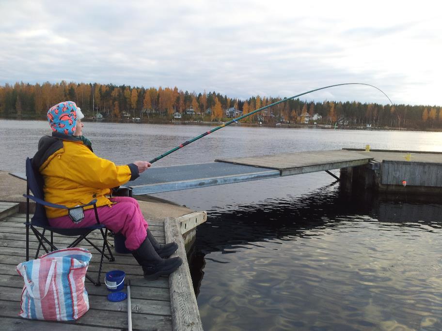 Saimaa Geoparkin tehtävä Puumalan kunta Vaalia Saimaa Geoparkalueen ainutlaatuista geologiaa, luontoa ja kulttuuria (UNTWO, UGG, Metsähallitus) Tuoda esiin aluetta paikallisesti, kansallisesti ja