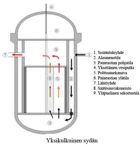 19 Kuva 10. Super LWR:n yksikulkuisen sydämen rakenne ja virtaus sen sisällä. (Muokattu lähteestä Oka et al.