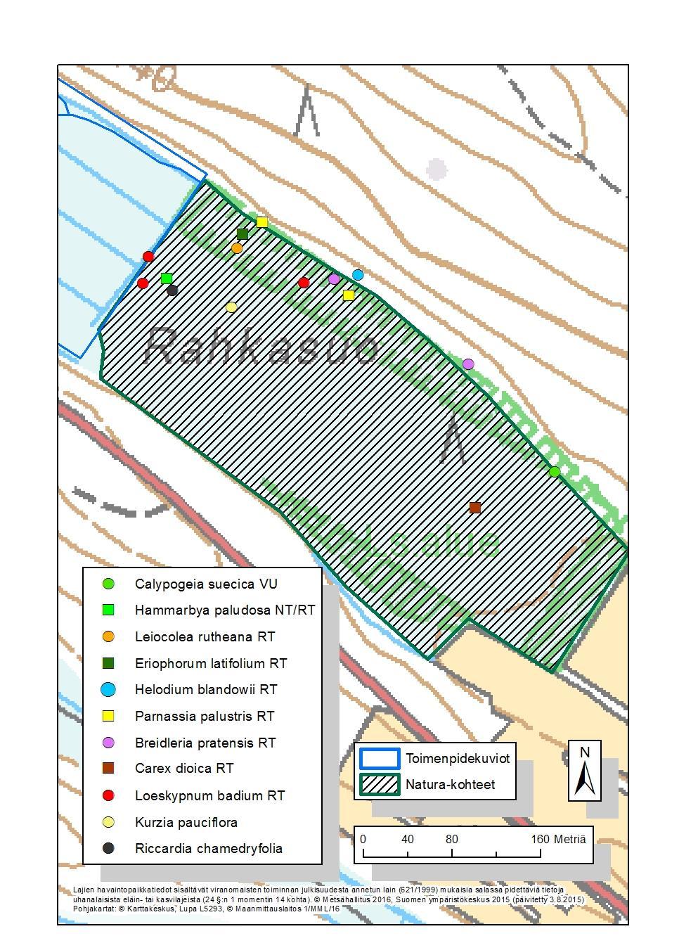 Kuva 6. Rahkasuon mielenkiintoiset lajihavainnot lähikuvassa.