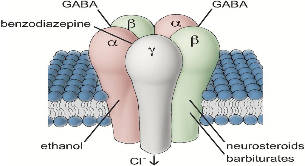 Kaaviokuva GABA A-reseptorista