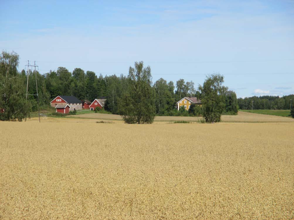 LOHJAN KAUPUNGIN KARJALOHJAN MUSTLAHDEN KYLÄ RANTA- ASEMAKAAVA JA RANTA- ASEMAKAAVAN MUUTOS