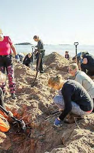 Kurtturuusun torjunta Pienikokoiset kasvustot on helpointa kiskoa ylös juurineen. Kookkaat yksilöt katkaistaan tyvestä ja juurakko ja juurten palaset kaivetaan irti maasta.