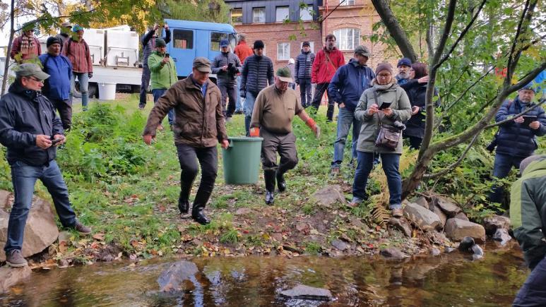 Oulujoen kärkihanke Montan kiinniottolaite Kiinniottolaite otettiin käyttöön elokuussa 2017 Tavoite: lohen ja taimenen palauttaminen Oulujokeen Hankkeen kokonaiskustannukset 2,65 milj.