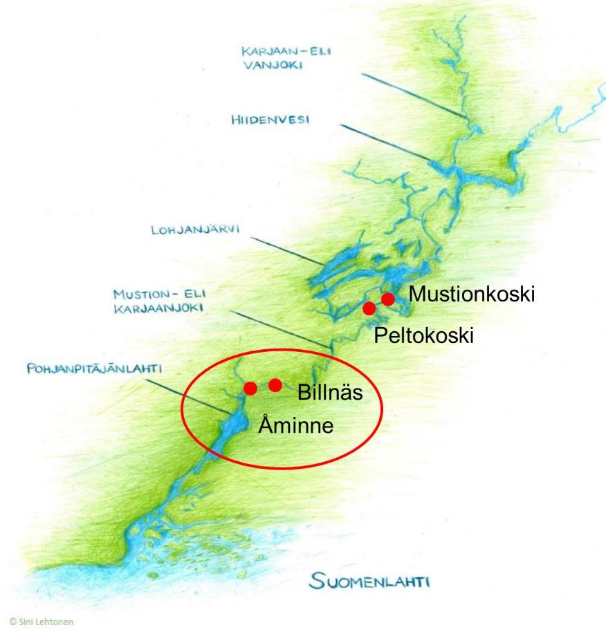 Mustionjoella kalateiden rakentaminen kahteen alimpaan voimalaitokseen Åminneforsiin ja Billnäsiin on