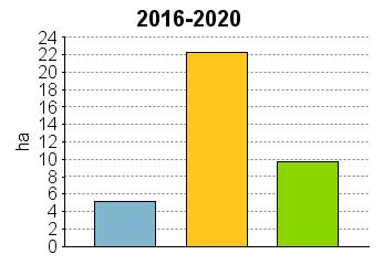 UPM Metsäsuunnitelma Tulostettu 20.6.