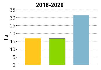UPM Metsäsuunnitelma Tulostettu 20.6.