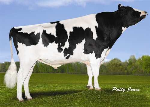 Superpower MISTY SPRINGS SUPERPOWER 0200HO03735 BONAIR x SHOTTLE x FREELANCE KARONA BONAIR MISTY SPRINGS SHOTTLE SATIN VG-86-2YR-CAN 17* PICSTON SHOTTLE WILLSONA FREELANCE SIZZLE VG-86-2YR-CAN