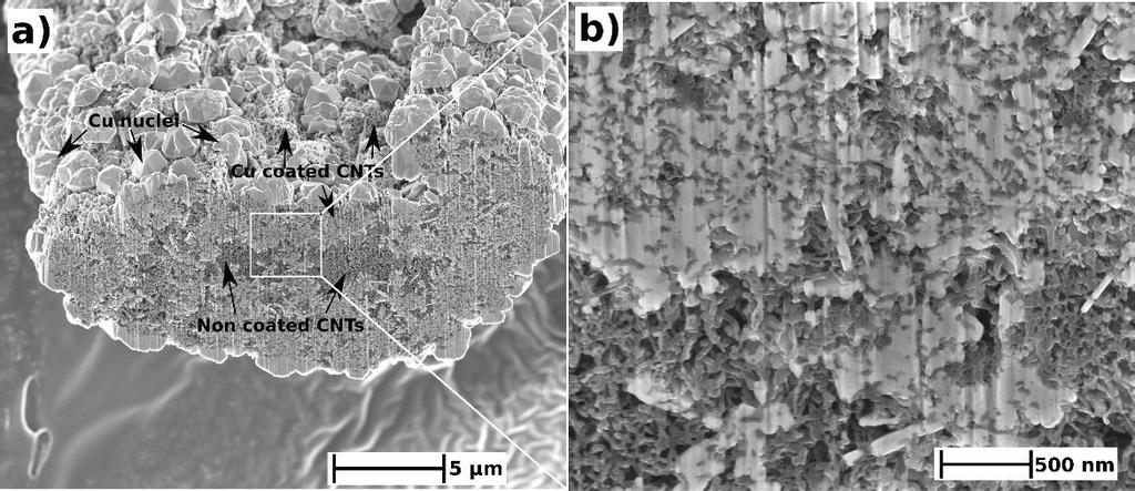 A transverse cross section of the fiber near the air-electrolyte interface was made by FIB milling, Figure 18.