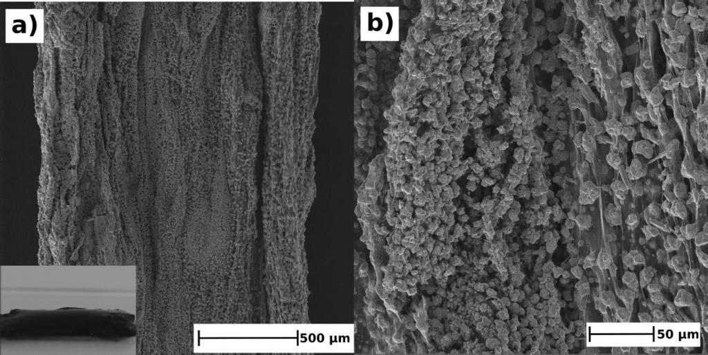 Figure 25. Functionalized CNT film after deposition at -3.8 ma cm -2 for 1800s. Functionalization by electro-oxidation at 2.2 V vs. SCE for 60s. Publication III.