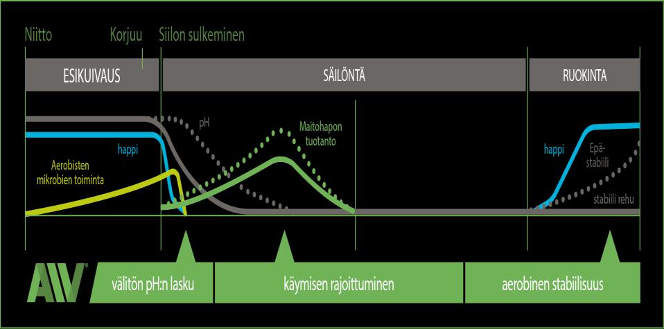 11 4 Tietoperusta 4.