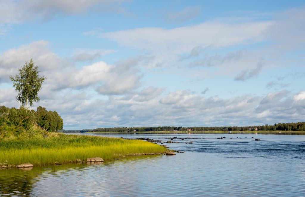 Alue on viihtyisä ja rauhallinen, vaikka matkaa Tornion ydinkeskustan monipuolisten palveluiden äärelle on vain 500 metriä. isäfiilistä asumiseen tuo komea jokimaisema.