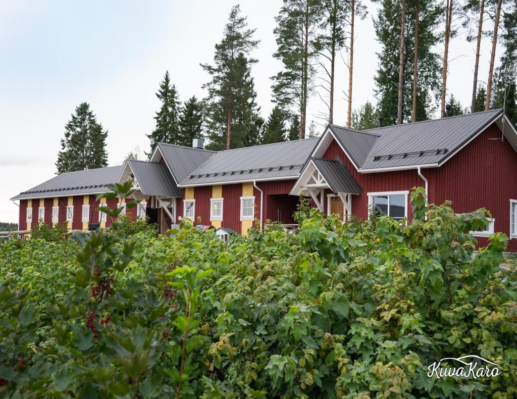 Talli sijaitsee 18 km Oulun keskustasta Oulujokivarressa suurten peltojen keskellä Perustettu 5/ 2011 15 paikkainen talli valmistui 2012, pienempiä pihattoja useita 30 paikkainen pihatto/ talli